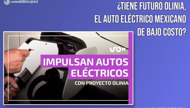 Sostenibilidad Global - Futuro de Olinia, auto eléctrico mexicano de bajo costo