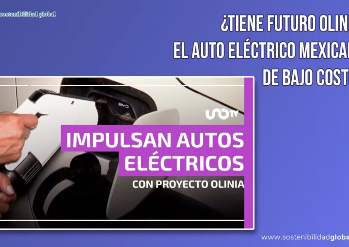 Sostenibilidad Global - Futuro de Olinia, auto eléctrico mexicano de bajo costo